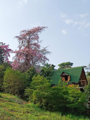 Glamping el nido